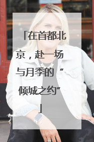 在首都北京，赴一场与月季的“倾城之约”