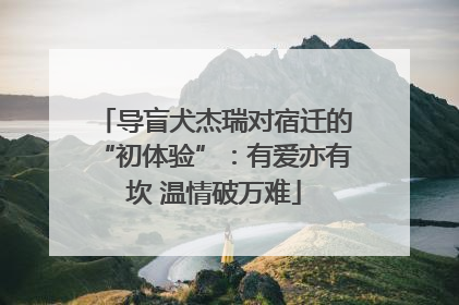 导盲犬杰瑞对宿迁的“初体验”：有爱亦有坎 温情破万难