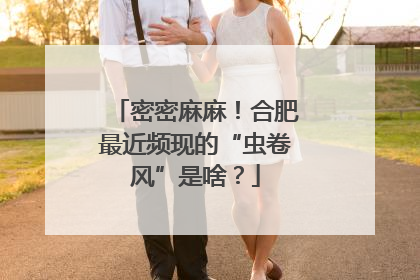 密密麻麻！合肥最近频现的“虫卷风”是啥？