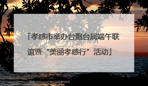 孝感市举办台胞台属端午联谊暨“美丽孝感行”活动