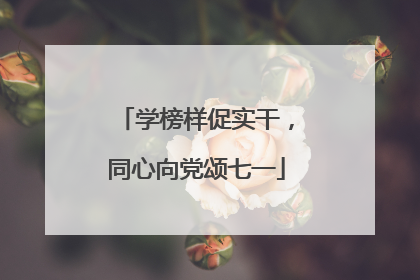 学榜样促实干，同心向党颂七一