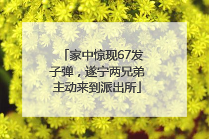 家中惊现67发子弹，遂宁两兄弟主动来到派出所