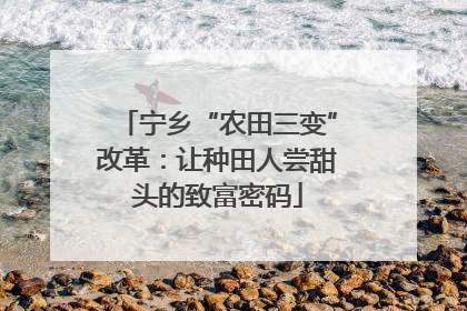 宁乡“农田三变”改革：让种田人尝甜头的致富密码