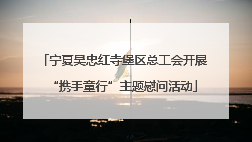 宁夏吴忠红寺堡区总工会开展“携手童行”主题慰问活动