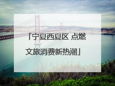 宁夏西夏区 点燃文旅消费新热潮