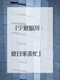宁夏银川：夏日采茶忙