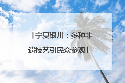 宁夏银川：多种非遗技艺引民众参观
