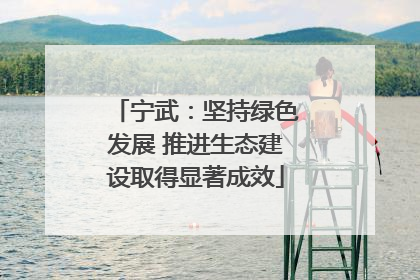 宁武：坚持绿色发展 推进生态建设取得显著成效