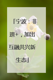 宁波：非遗+，加出互融共兴新生态