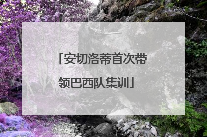 安切洛蒂首次带领巴西队集训