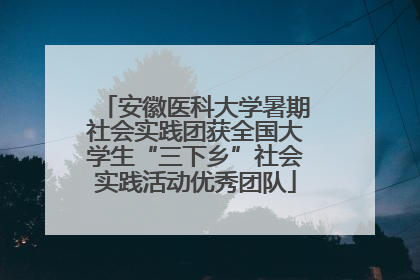 安徽医科大学暑期社会实践团获全国大学生“三下乡”社会实践活动优秀团队