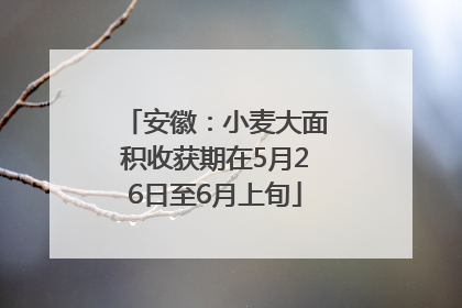 安徽：小麦大面积收获期在5月26日至6月上旬