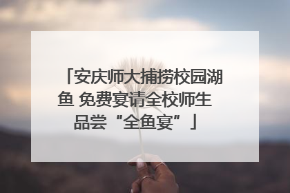 安庆师大捕捞校园湖鱼 免费宴请全校师生品尝“全鱼宴”