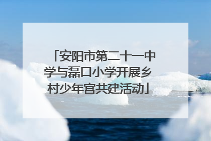安阳市第二十一中学与磊口小学开展乡村少年宫共建活动