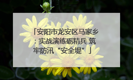 安阳市龙安区马家乡：实战演练砺精兵 筑牢防汛“安全堤”