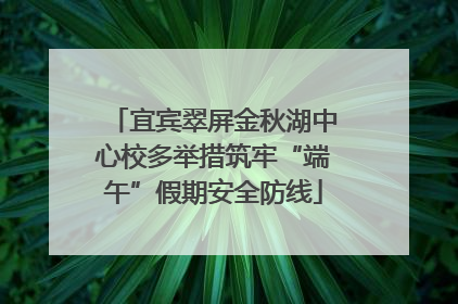 宜宾翠屏金秋湖中心校多举措筑牢“端午”假期安全防线