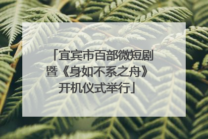宜宾市百部微短剧暨《身如不系之舟》开机仪式举行