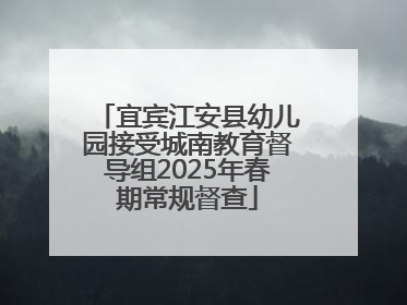宜宾江安县幼儿园接受城南教育督导组2025年春期常规督查