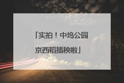 实拍！中坞公园京西稻插秧啦