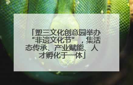 塑三文化创意园举办“非遗文化节”，集活态传承、产业赋能、人才孵化于一体