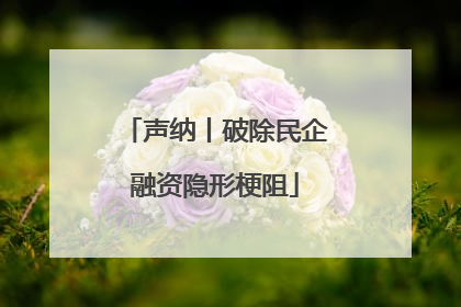 声纳丨破除民企融资隐形梗阻