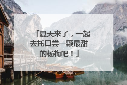 夏天来了，一起去托口尝一颗最甜的杨梅吧！