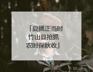 夏播正当时 竹山县抢抓农时保秋收