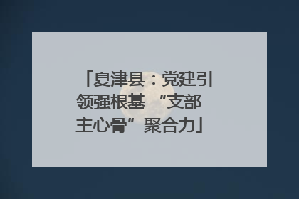 夏津县：党建引领强根基 “支部主心骨”聚合力
