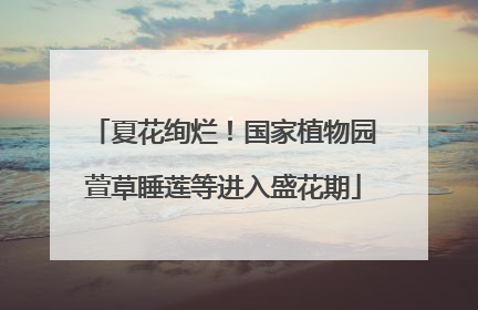 夏花绚烂！国家植物园萱草睡莲等进入盛花期