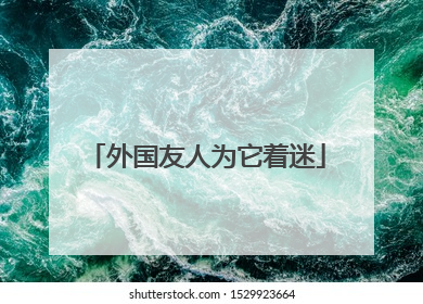 外国友人为它着迷