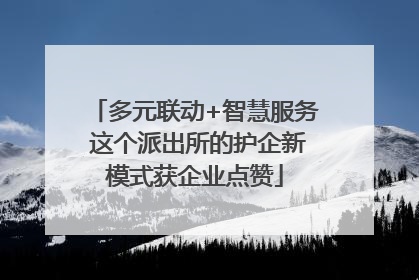 多元联动+智慧服务 这个派出所的护企新模式获企业点赞
