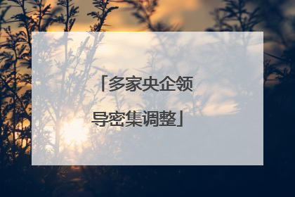 多家央企领导密集调整