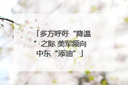 多方呼吁“降温”之际 美军频向中东“添油”