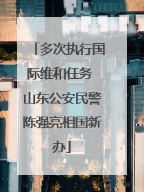 多次执行国际维和任务 山东公安民警陈强亮相国新办