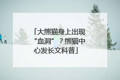 大熊猫身上出现“血洞”？熊猫中心发长文科普