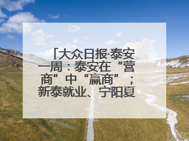 大众日报·泰安一周：泰安在“营商”中“赢商”；新泰就业、宁阳夏收工作上要闻