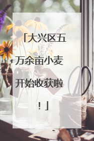 大兴区五万余亩小麦开始收获啦！