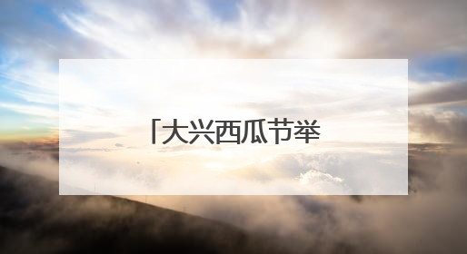 大兴西瓜节举办音乐嘉年华