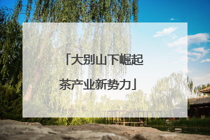 大别山下崛起茶产业新势力