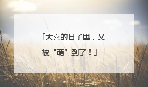 大喜的日子里，又被“萌”到了！