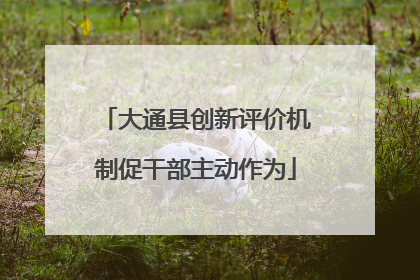 大通县创新评价机制促干部主动作为