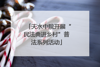 天水中院开展“民法典进乡村”普法系列活动