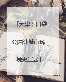 天津：口袋公园让城市环境更宜居