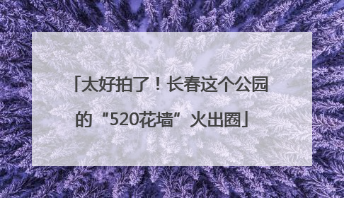 太好拍了！长春这个公园的“520花墙”火出圈