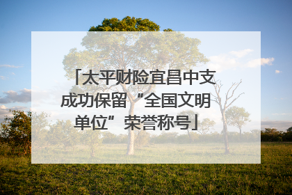 太平财险宜昌中支成功保留“全国文明单位”荣誉称号