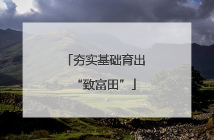 夯实基础育出“致富田”