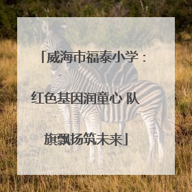 威海市福泰小学：红色基因润童心 队旗飘扬筑未来