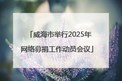 威海市举行2025年网络募捐工作动员会议