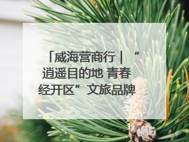 威海营商行｜“逍遥目的地 青春经开区”文旅品牌推介走进韩国