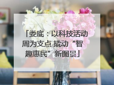 娄底：以科技活动周为支点 撬动“智趣惠民”新图景
